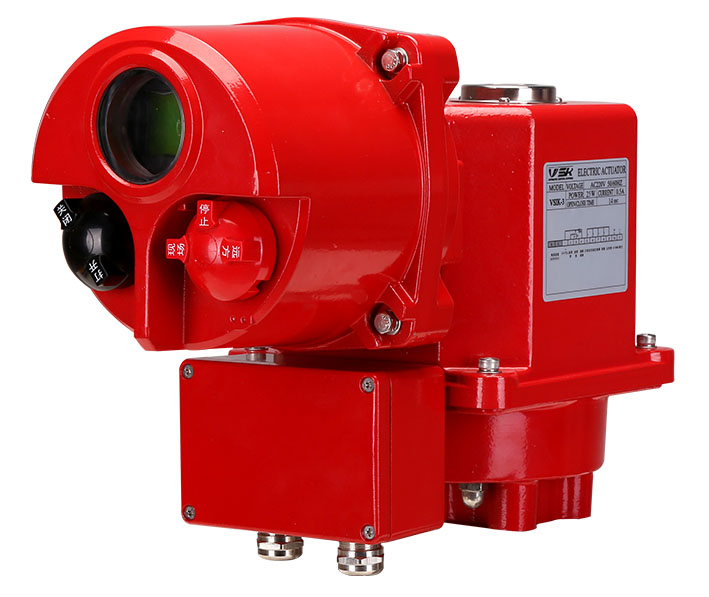 Intelligent Electric  actuator 